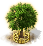 fingeredcitron_xxl.png