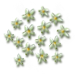 fingeredcitron_xxl_layer1.png