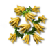 fingeredcitron_xxl_layer3.png