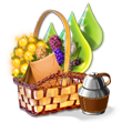 fireflyapr2016_basket1_medium.png