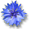 flower_cornflower.png