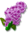 flower_lilac.png