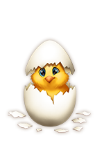 friendshipaug2018_chicken01.png