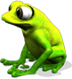 frog_00.png
