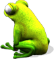 frog_01.png