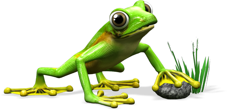 frog_stable_orange_marketing.png