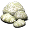 historysep2016_shopsalepanel2.png