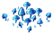 hochstetteri_plant_layer1.png