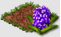 hyacinth_icon_big.png