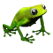 icon_breeding_meadow_frog_00.png