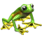 icon_breeding_meadow_frog_02.png