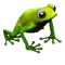 icon_breeding_meadow_frog_05.png