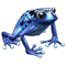 icon_breeding_meadow_frog_06.png