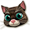 icon_cat.png