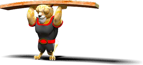 image 10.png