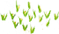 image 3.png