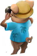 jeep_pig.png