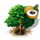 langsat_tree_icon_small.png