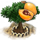 loquat_xl_icon_small.png
