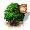 macadamia_tree_icon_big.png