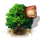 macadamia_tree_icon_small.png