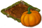 malala_pumpkin_icon_big.png