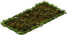 marasmius_plant_1X2.png