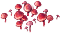 marasmius_plant_layer1.png