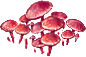 marasmius_plant_layer3.png