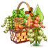 mendel2016basket_small.png