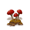 mushrooms.png