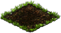 mycena_plant_1X1.png