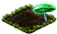 mycena_plant_icon_big.png