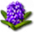 panel-icon_plant-hyacinth.png