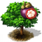 purplemangosteen_icon_big.png