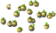 purplemangosteen_tree_layer1.png