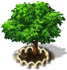 purplemangosteen_tree_xl.png