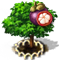 purplemangosteen_xl_icon_big.png