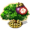 purplemangosteen_xxl_icon_big.png