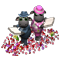 rowsalefeb2016.png