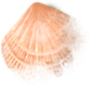 shell_02_missed.png