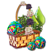 soccerjun2016basket2_big.png