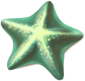 starfish_02.png