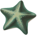 starfish_02_rewarded.png