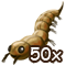 summerlayerjul2016_droptitem_bloodworm_package50g.png