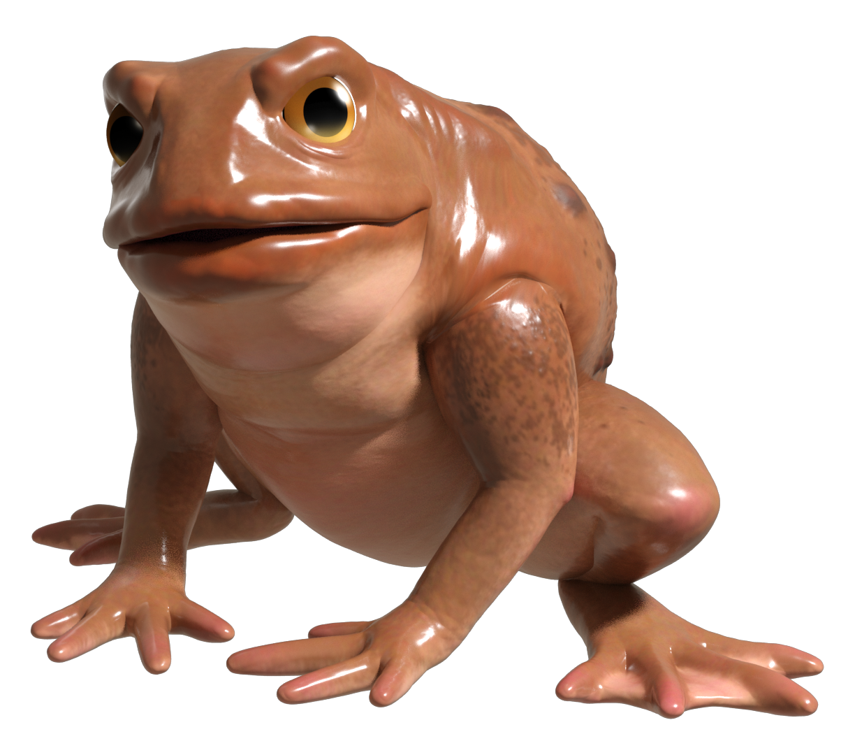toad_stable_00_regular_MR4.png