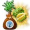 treeseedlingoctober2016_bahamarama_durian_icon_big.png