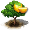 wampee_icon_big.png