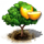wampee_icon_small.png