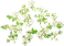 wampee_tree_layer1.png